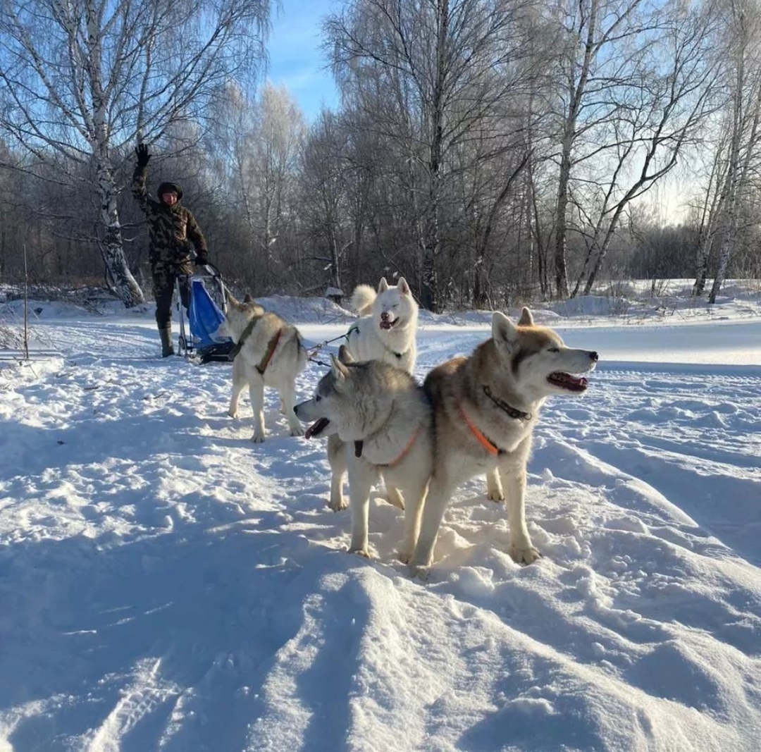 Заголовок